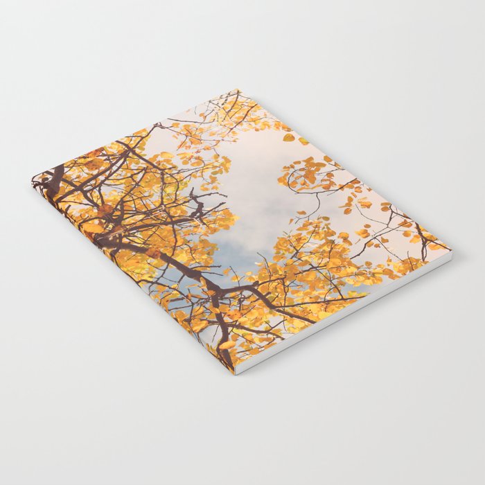 Beneath the Autumn Birch Tree Maine nature photograph Notebook Gallery Image 2