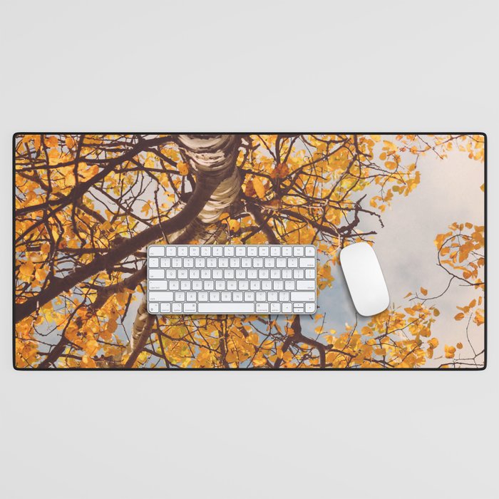 Beneath the Autumn Birch Tree Maine nature photograph Desk Mat Gallery Image 1