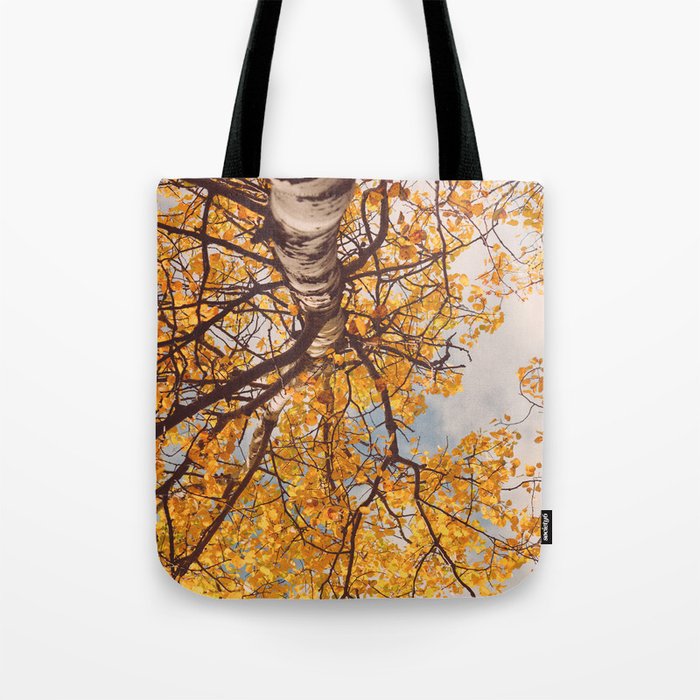 Beneath the Autumn Birch Tree Maine nature photograph Tote Bag Gallery Image 1