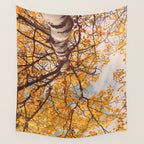Beneath the Autumn Birch Tree Maine nature photograph Wall Tapestry Gallery Image 4