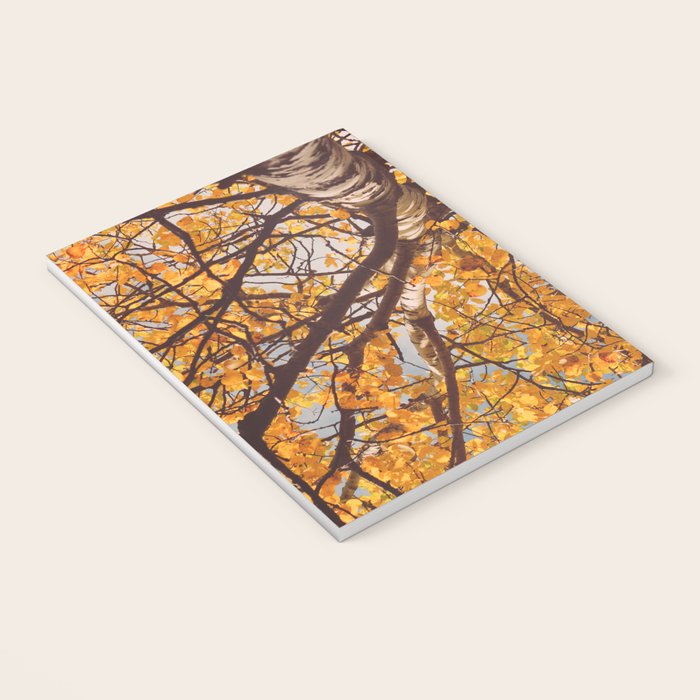 Beneath the Autumn Birch Tree Maine nature photograph Notebook Gallery Image 3