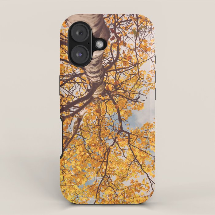 Beneath the Autumn Birch Tree Maine nature photograph iPhone Case Gallery Image 1