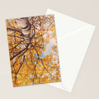 Beneath the Autumn Birch Tree Maine nature photograph Stationery Card Gallery Image 2