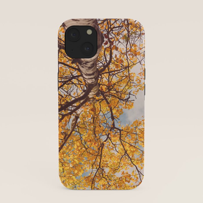 Beneath the Autumn Birch Tree Maine nature photograph iPhone Case Gallery Image 37