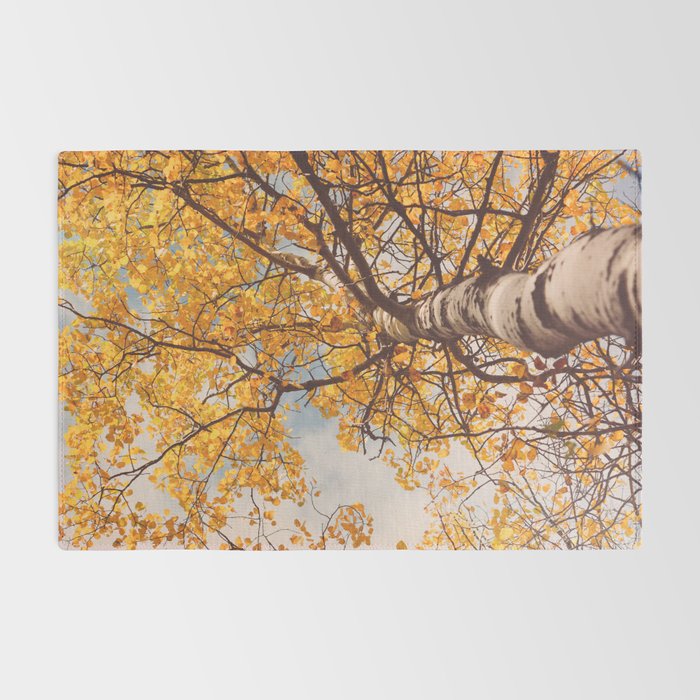 Beneath the Autumn Birch Tree Maine nature photograph Rug Gallery Image 2