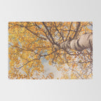Beneath the Autumn Birch Tree Maine nature photograph Rug Gallery Image 2