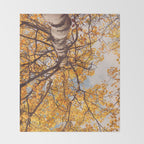 Beneath the Autumn Birch Tree Maine nature photograph Throw Blanket Gallery Image 2