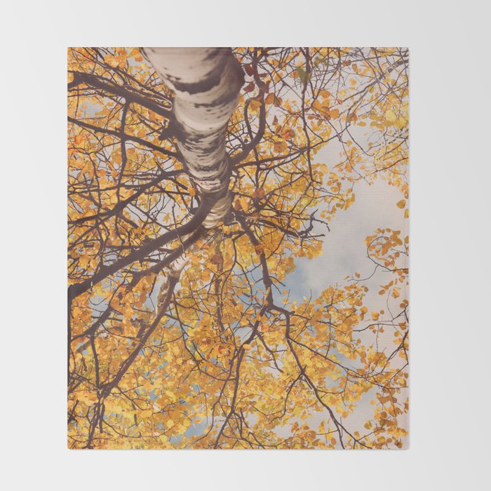 Beneath the Autumn Birch Tree Maine nature photograph Throw Blanket Gallery Image 2