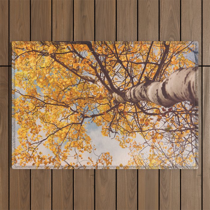 Beneath the Autumn Birch Tree Maine nature photograph Outdoor Rug Gallery Image 1