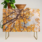 Beneath the Autumn Birch Tree Maine nature photograph Credenza Gallery Image 1