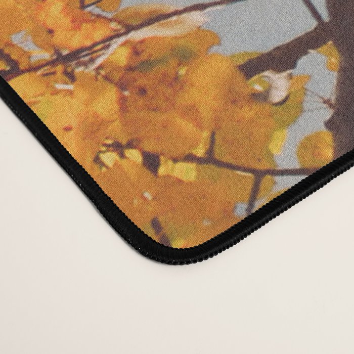 Beneath the Autumn Birch Tree Maine nature photograph Desk Mat Gallery Image 4