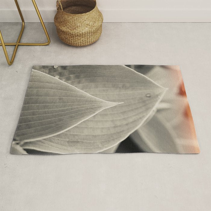 Gray Leaf Line Study Botanical Rug Gallery Image 1