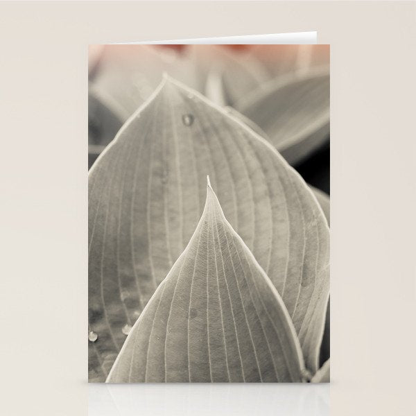 Gray Leaf Line Study Botanical Stationery Card Gallery Image 1