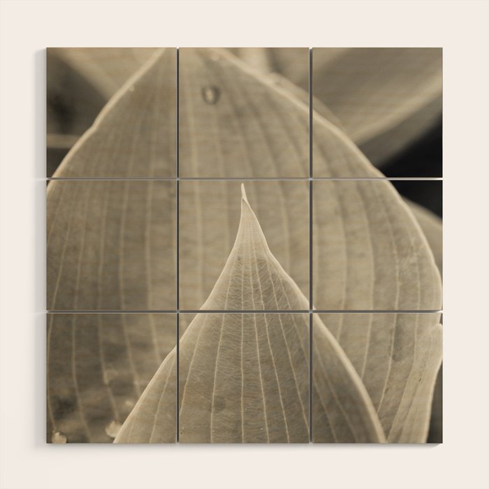 Gray Leaf Line Study Botanical Wood Wall Art Gallery Image 1
