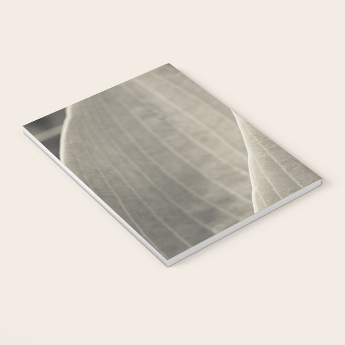 Gray Leaf Line Study Botanical Notebook Gallery Image 3