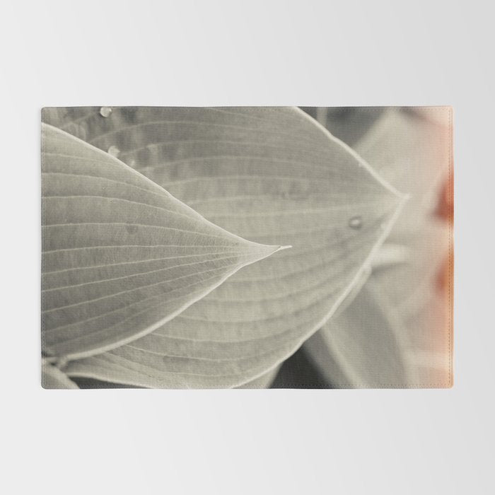 Gray Leaf Line Study Botanical Rug Gallery Image 2
