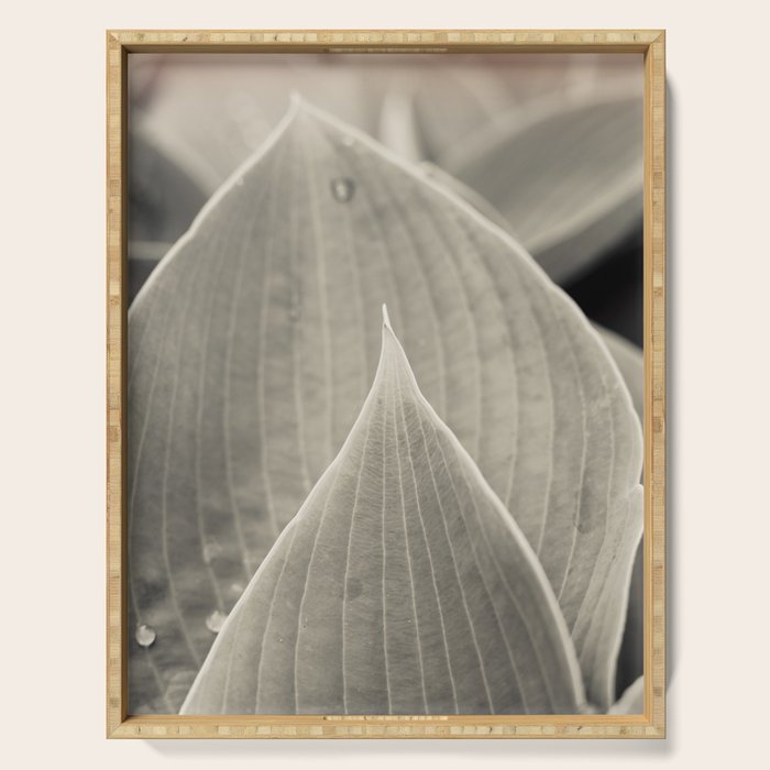Gray Leaf Line Study Botanical Serving Tray Gallery Image 1