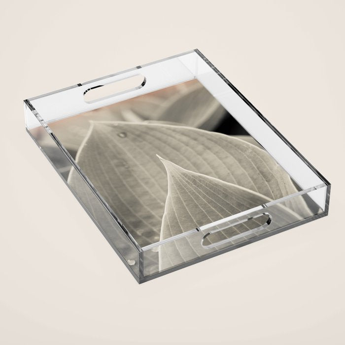 Gray Leaf Line Study Botanical Acrylic Tray Gallery Image 1