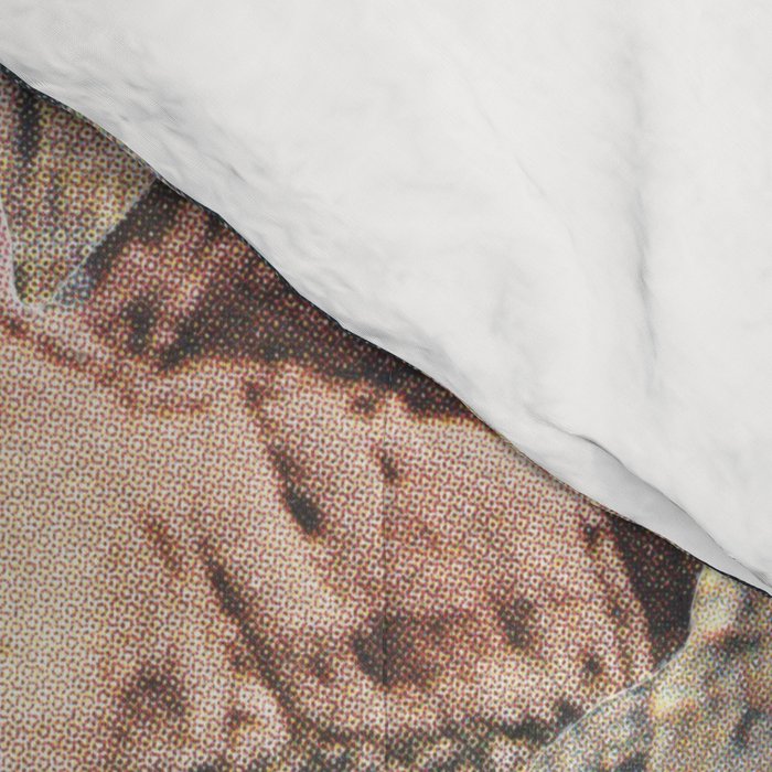 Grand Canyons Comforter Gallery Image 4
