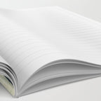Grand Canyons Notebook Gallery Image 2