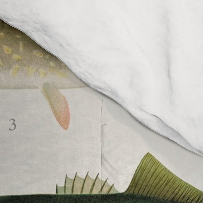 Illustrated North America Game Fish Identification Chart Comforter Gallery Image 4