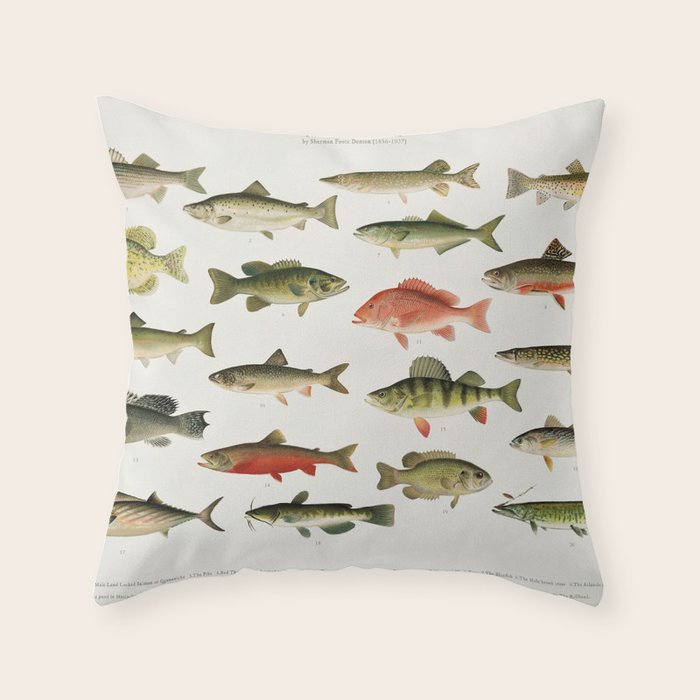 Illustrated North America Game Fish Identification Chart Throw Pillow Gallery Image 6