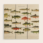 Illustrated North America Game Fish Identification Chart Wood Wall Art Gallery Image 1