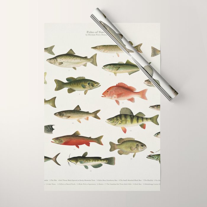 Illustrated North America Game Fish Identification Chart Wrapping Paper Gallery Image 1