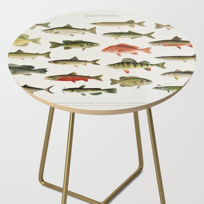 Illustrated North America Game Fish Identification Chart Side Table Gallery Image 2