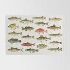 Illustrated North America Game Fish Identification Chart Rug Gallery Image 2