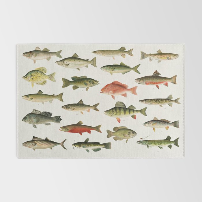 Illustrated North America Game Fish Identification Chart Rug Gallery Image 2