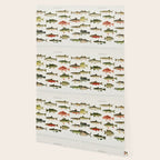 Illustrated North America Game Fish Identification Chart Wallpaper Gallery Image 2