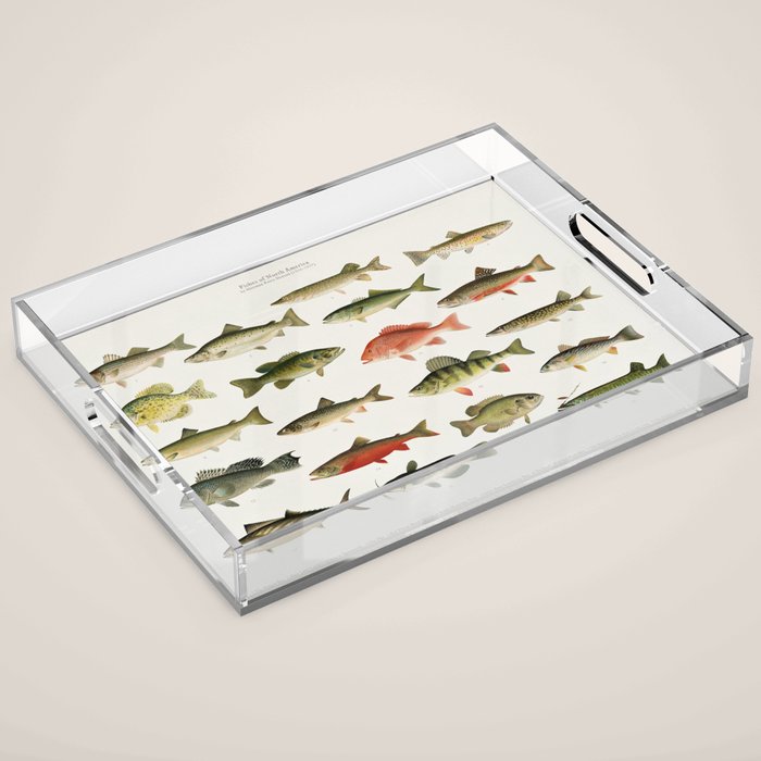 Illustrated North America Game Fish Identification Chart Acrylic Tray Gallery Image 1