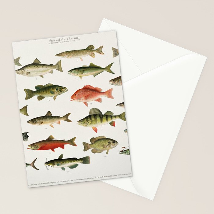 Illustrated North America Game Fish Identification Chart Stationery Card Gallery Image 2