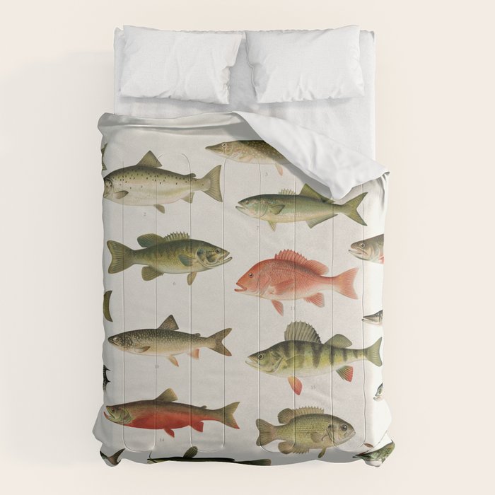 Illustrated North America Game Fish Identification Chart Comforter Gallery Image 6