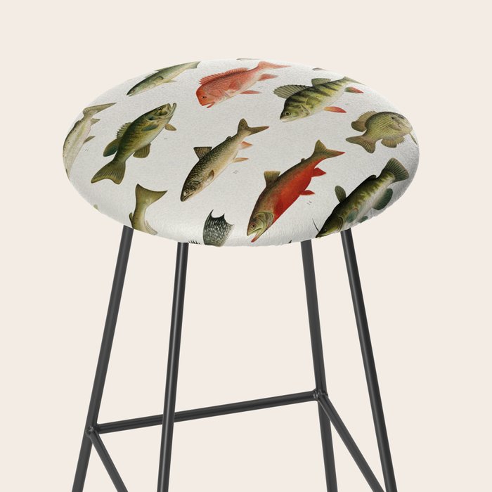 Illustrated North America Game Fish Identification Chart Stool Gallery Image 2