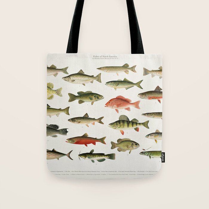 Illustrated North America Game Fish Identification Chart Tote Bag Gallery Image 1