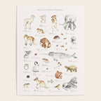 Animal Alphabet Poster Gallery Image 4