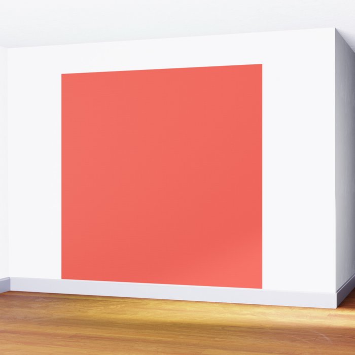 Coral Wall Mural Gallery Image 2