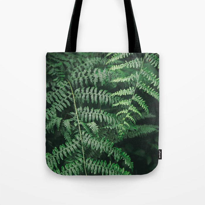Ferns VI Tote Bag Gallery Image 1