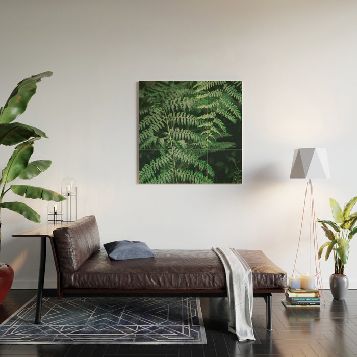 Ferns VI Wood Wall Art Gallery Image 2
