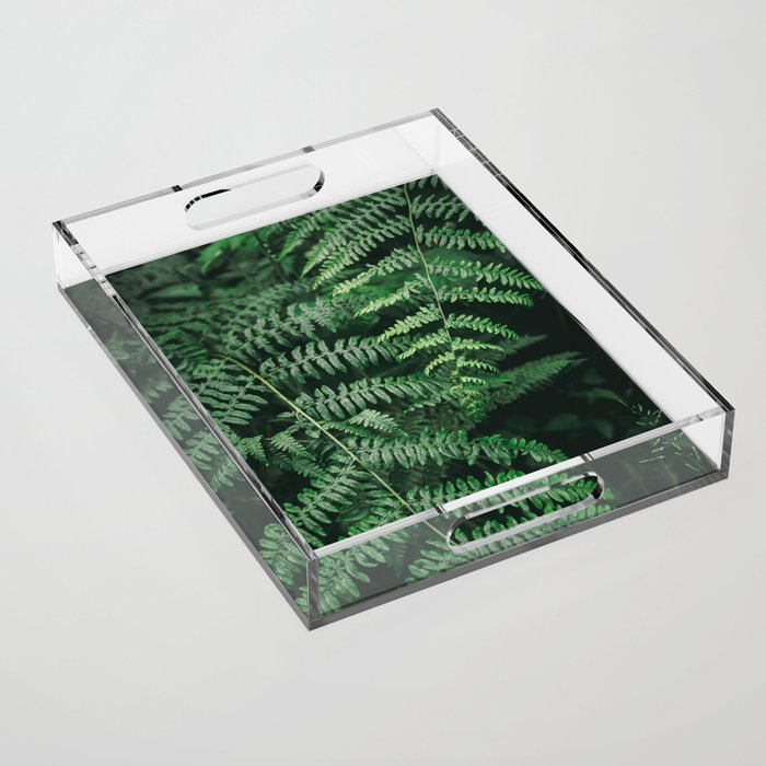 Ferns VI Acrylic Tray Gallery Image 1