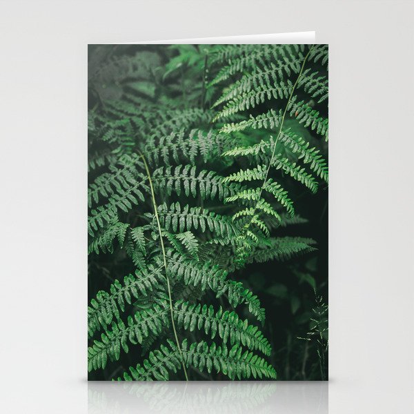 Ferns VI Stationery Card Gallery Image 1