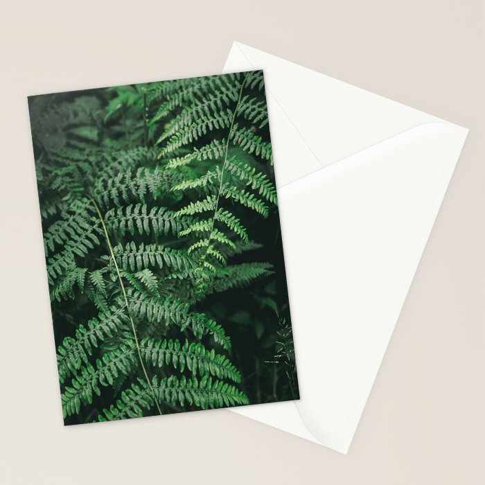 Ferns VI Stationery Card Gallery Image 2