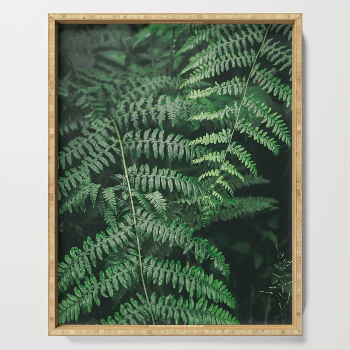 Ferns VI Serving Tray Gallery Image 1