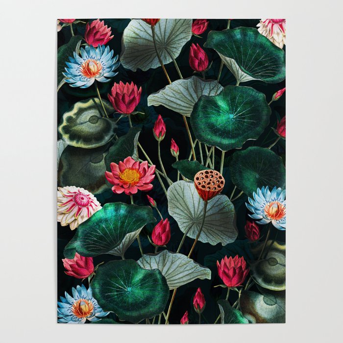 Water Lily - Night Poster Gallery Image 4