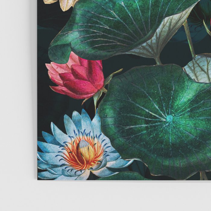 Water Lily - Night Poster Gallery Image 3