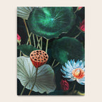 Water Lily - Night Notebook Gallery Image 4