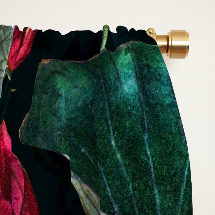 Water Lily - Night Window Curtain Gallery Image 2