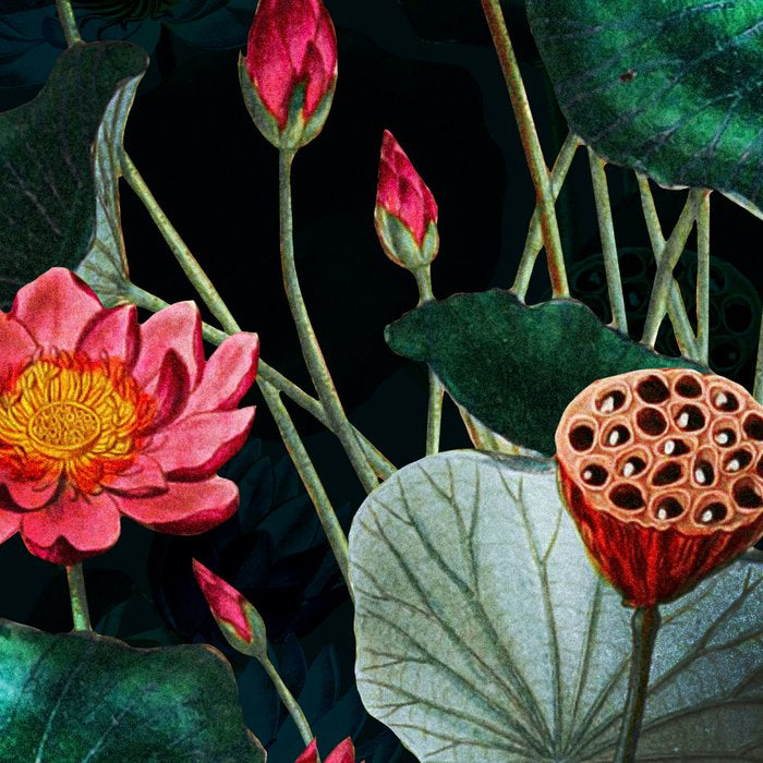 Water Lily - Night Coffee Mug Gallery Image 2